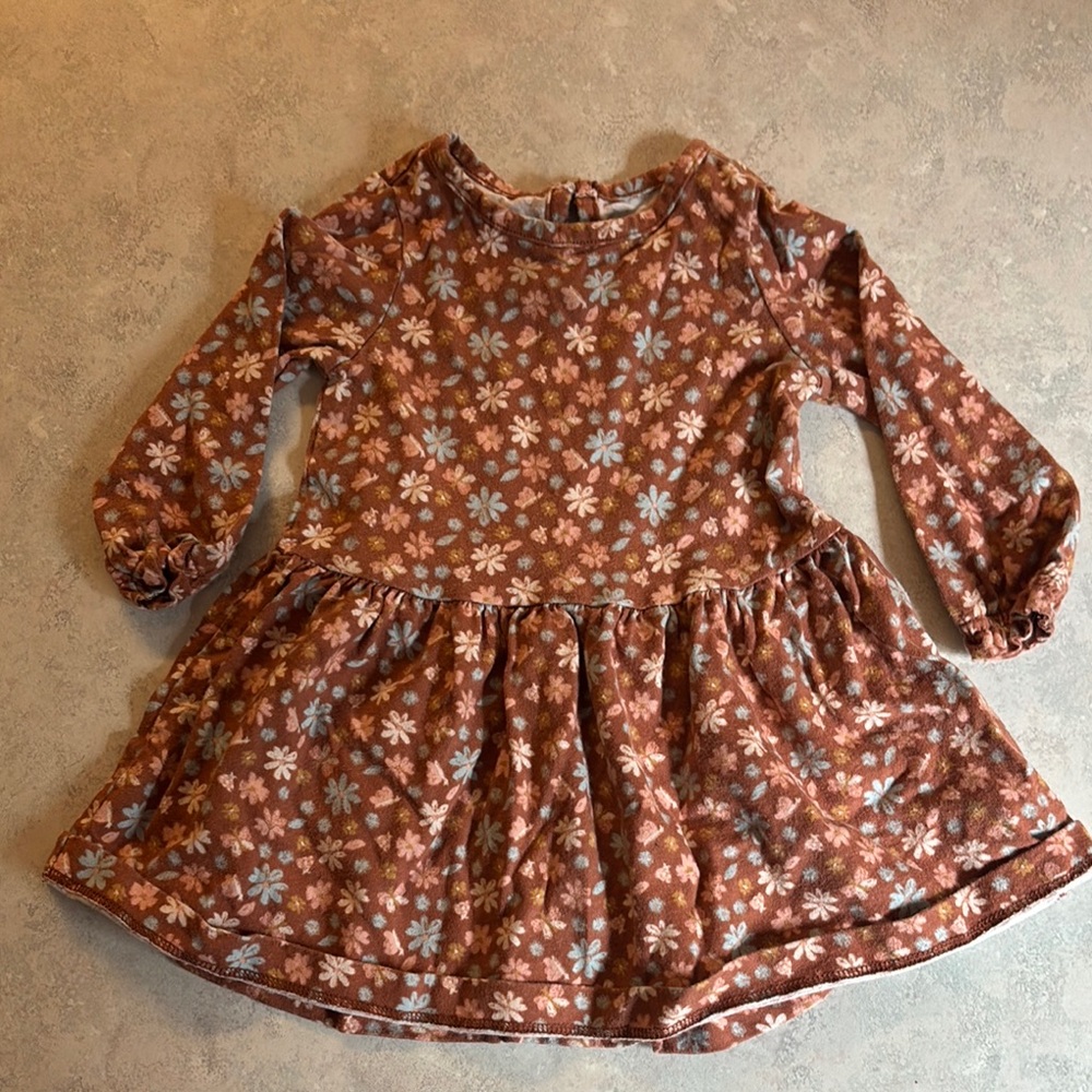 Carter's FALL Floral Kids Dress in Brown and White
